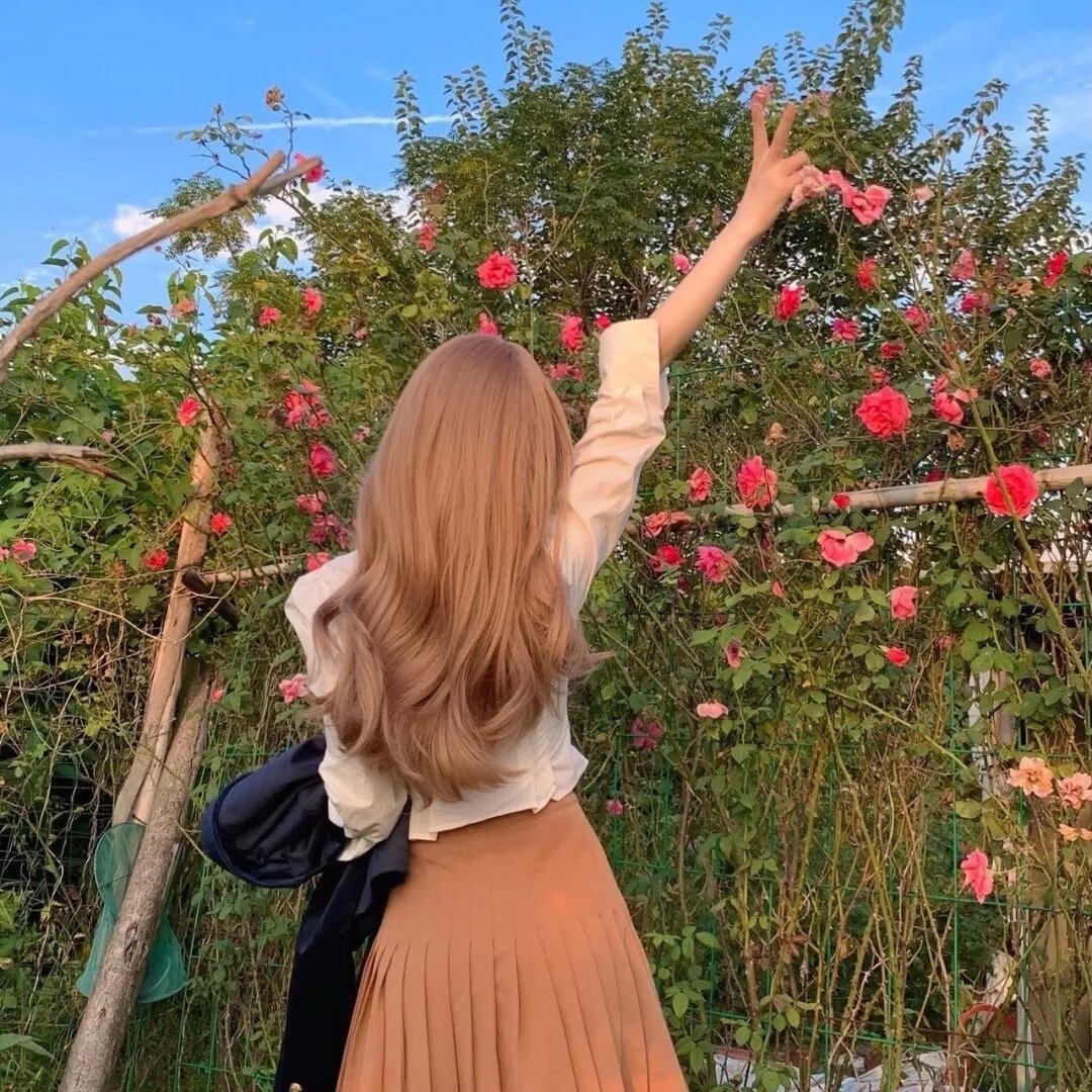 家有仙妻2